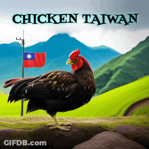 A Chicken Standing On A Rock With The Words Chicken Taiwan Written Above It GIF