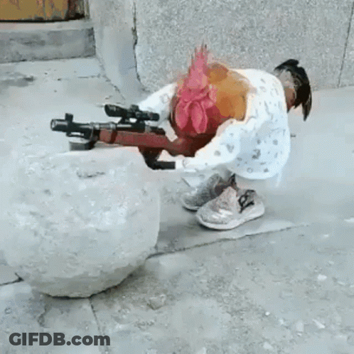 A Chicken With A Gun On Its Back Is Sitting On A Rock . GIF