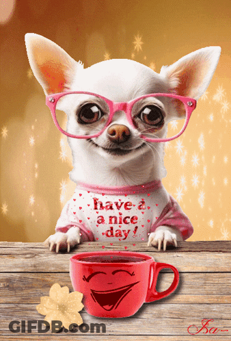 Chihuahua With Glasses And Have A Nice Day Shirt GIF
