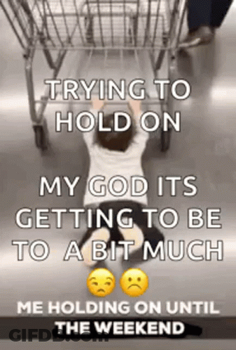A Child Is Crawling On The Floor Next To A Shopping Cart With The Caption Trying To Hold On GIF