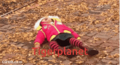 A Child Is Laying On The Ground With The Words Tigerplanet Written In Red GIF