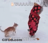 A Child Is Playing With A Cat In The Snow And Says You Are It ! GIF