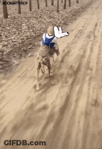 A Child Is Riding On The Back Of A Cheetah With A Drawing Of A Dog On The Back GIF