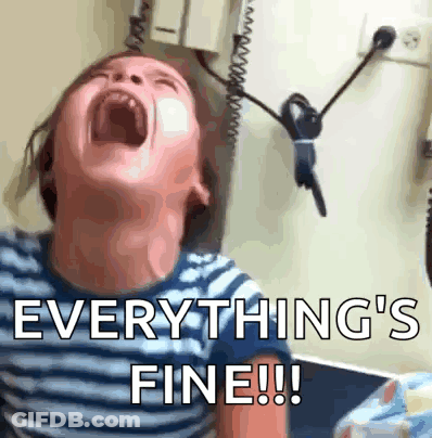 A Child Is Screaming With The Words " Everything 'S Fine !!! " GIF