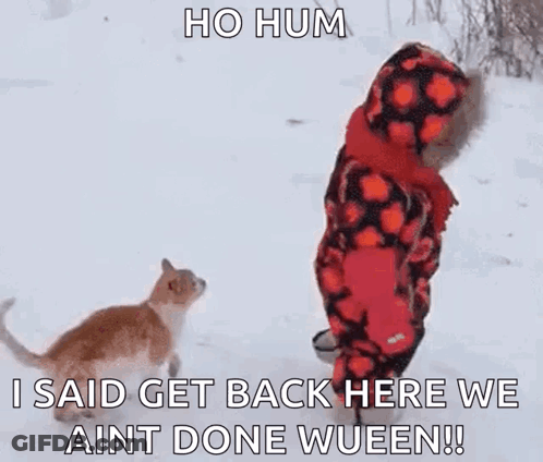 Child Standing In Snow Watching Cat GIF