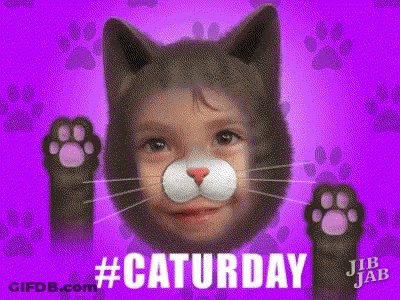 A Child Is Wearing A Cat Mask With Paws And The Words #Caturday Written Below It GIF