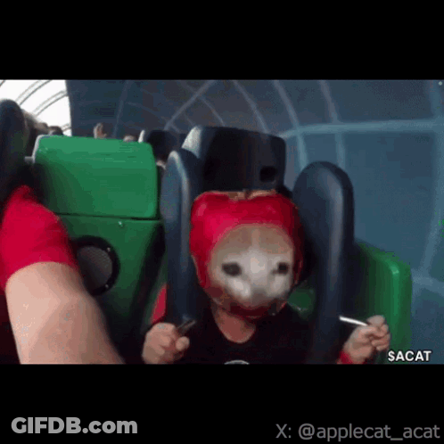 A Child Wearing A Red Helmet Is Riding A Roller Coaster .. GIF