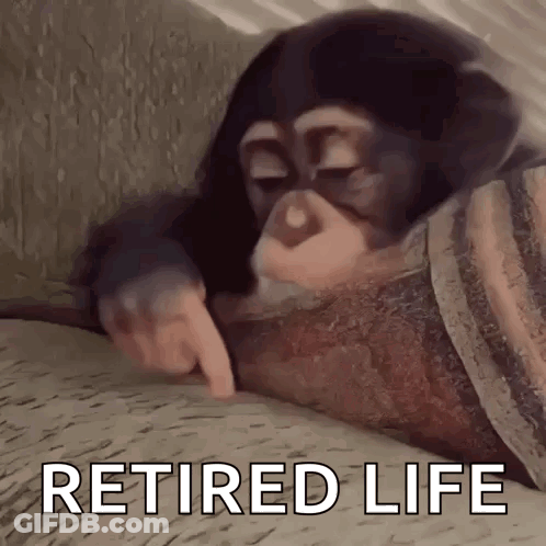 A Chimpanzee Is Pointing At Something With The Words `` Retired Life '' Written Below It . GIF