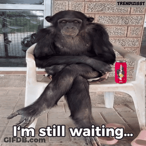 A Chimpanzee Is Sitting On A Chair With A Can Of Soda Next To It That Says I 'M Still GIF