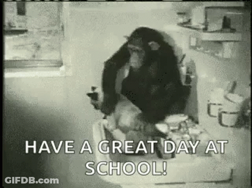 A Chimpanzee Is Sitting On A Toilet And Holding A Cell Phone In A Bathroom . GIF