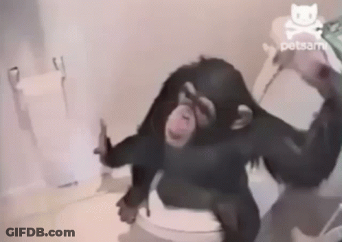 A Chimpanzee Is Sitting On A Toilet With A Skull And Crossbones In The Background GIF