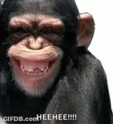 A Chimpanzee Is Smiling With Its Mouth Open And Says Heehee !!! . GIF