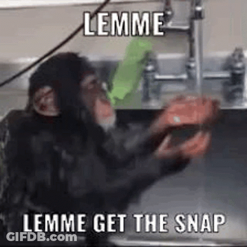 A Chimpanzee Is Washing His Hands In A Sink With A Green Sponge . GIF
