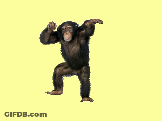 A Chimpanzee Sitting On A Yellow Background GIF