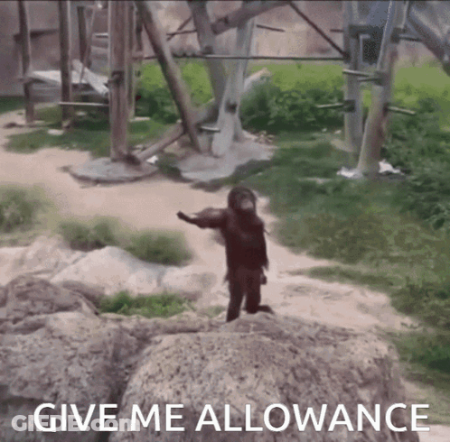 Chimpanzee Holding Money With Give Me Allowance GIF