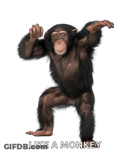 A Chimpanzee Standing On Its Hind Legs With The Words Like A Monkey Written Below It GIF