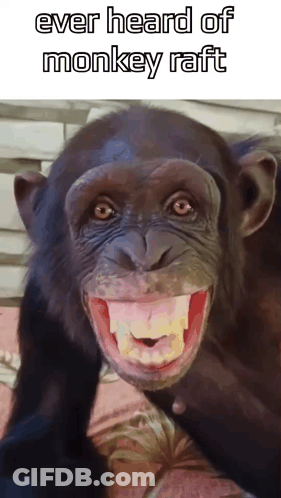 A Chimpanzee With Its Mouth Open And The Words Ever Heard Of Monkey Raft Written Above It GIF