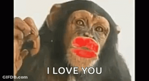 A Chimpanzee With Red Lipstick On Its Lips Is Holding A Bottle And Saying `` I Love You '' . GIF