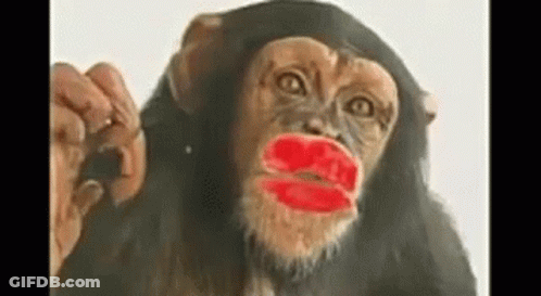 A Chimpanzee With Red Lipstick On Its Lips Is Looking At The Camera . GIF