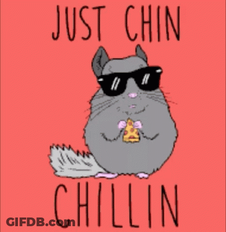 A Chinchilla Wearing Sunglasses Is Eating A Piece Of Pizza GIF