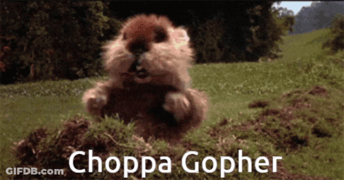 A Choppa Gopher Is Jumping Out Of The Ground GIF