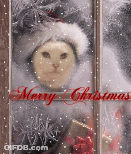 A Christmas Card With A Cat Wearing A Santa Hat And Holding A Gift GIF
