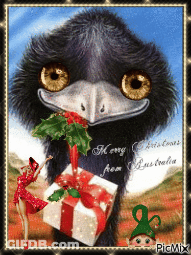 A Christmas Card With An Emu Holding A Gift Box GIF