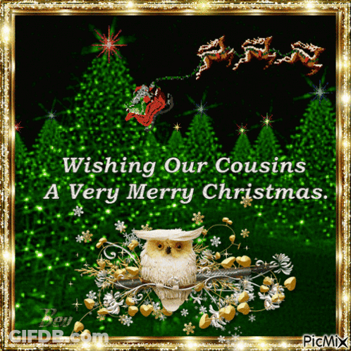 A Christmas Card With An Owl On A Branch Wishing Our Cousins A Merry Christmas GIF