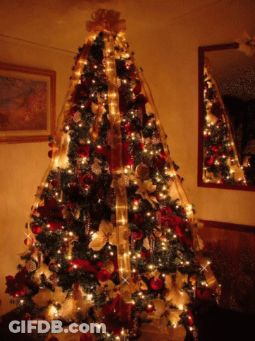 A Christmas Tree Decorated With Red And Gold Ornaments And Lights GIF