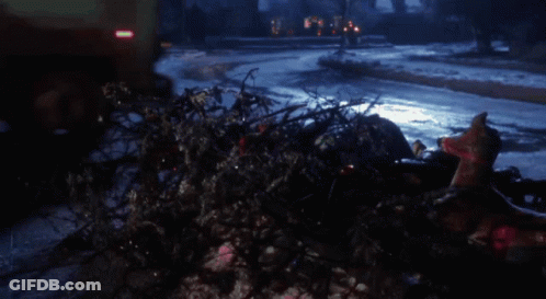 A Christmas Tree Is Laying On The Side Of The Road In Front Of A Truck GIF