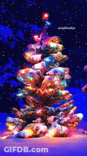 A Christmas Tree Is Lit Up In The Snow With The Words Morphindips Below It GIF