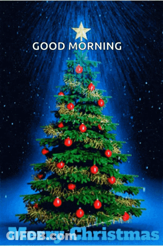 A Christmas Tree With A Star On Top Of It And The Words Good Morning Merry Christmas Below It GIF