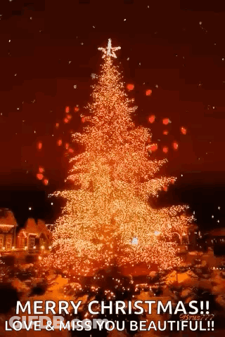 A Christmas Tree With A Star On Top Of It GIF