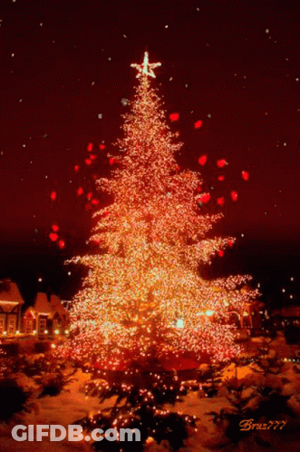 A Christmas Tree With A Star On Top Of It Is Lit Up At Night GIF