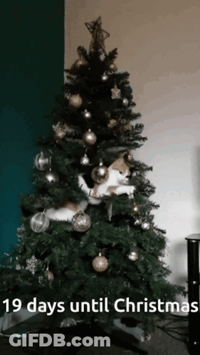 A Christmas Tree With The Words 19 Days Until Christmas GIF