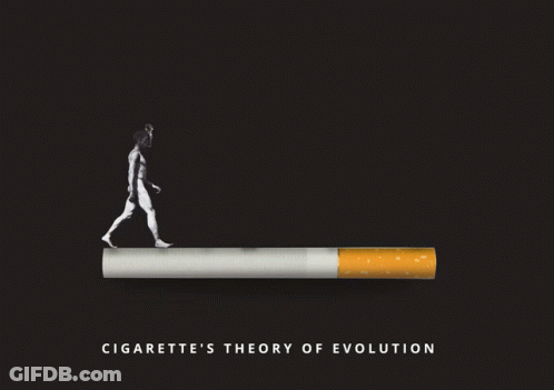 A Cigarette With Smoke Coming Out Of It That Says ' Cigarette 'S Theory Of Evolution ' GIF