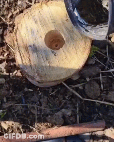 A Circular Piece Of Wood With A Hole In The Middle GIF