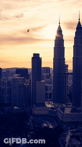 A City Skyline At Sunset With A Bird Flying In The Distance GIF