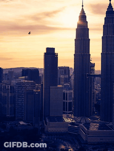 A City Skyline With A Bird Flying Overhead GIF
