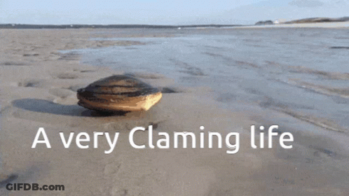 A Clam On A Beach With The Words " A Very Claming Life " Below It GIF