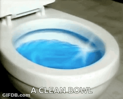 A Clean Bowl Of Water Is Being Poured Into A Toilet GIF