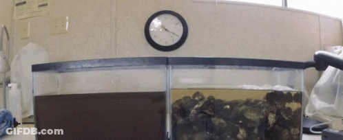 A Clock Hanging On A Wall Shows The Time As 7:15 GIF