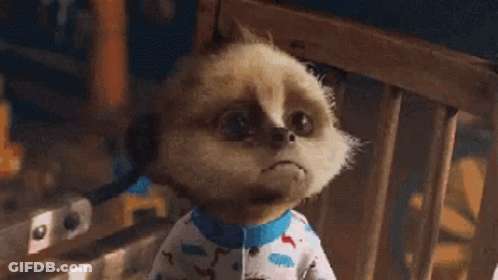 A Close Up Of A Baby Meerkat Wearing Pajamas . GIF