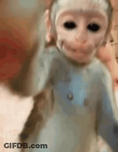 A Close Up Of A Baby Monkey Wearing A Blue Sweater . GIF