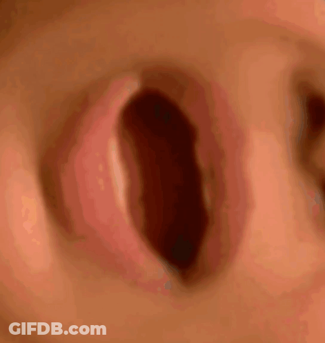 A Close Up Of A Baby 'S Nose With Its Mouth Open . GIF