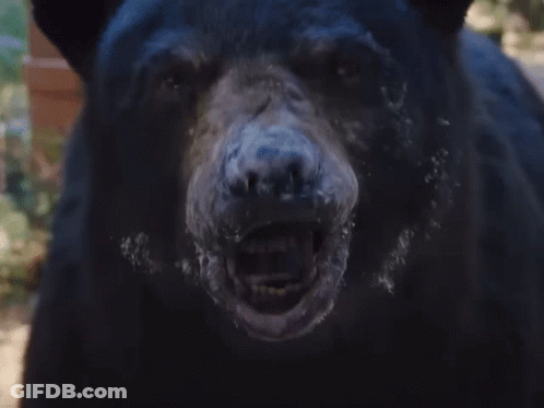 A Close Up Of A Bear 'S Face With Smoke Coming Out Of It 'S Mouth GIF