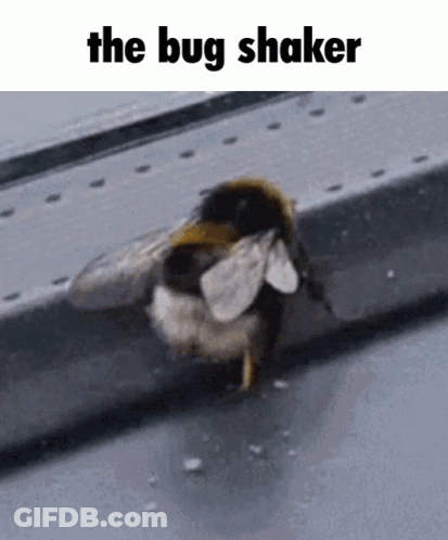 A Close Up Of A Bee On A Ledge With The Words The Bug Shaker Above It GIF