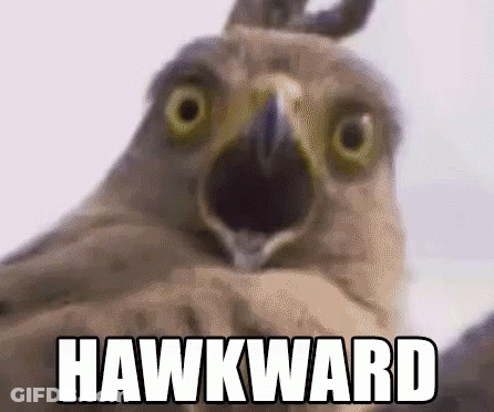A Close Up Of A Bird With Its Mouth Open And The Words `` Hawkward '' Written On It . GIF