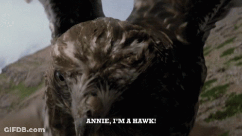 A Close Up Of A Bird With The Words Annie I 'M A Hawk Written Below It GIF