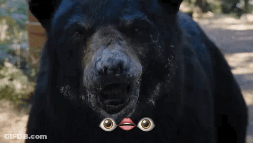 A Close Up Of A Black Bear 'S Face With Emoji Eyes And Lips On It GIF